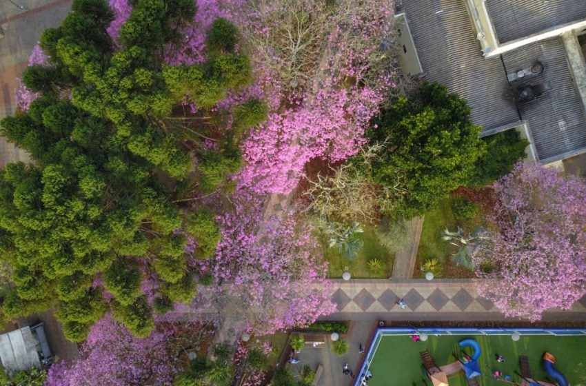  Primavera começa com temperatura de 36°C no Paraná