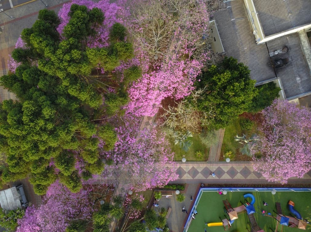 Primavera começa com temperatura de 36°C no Paraná