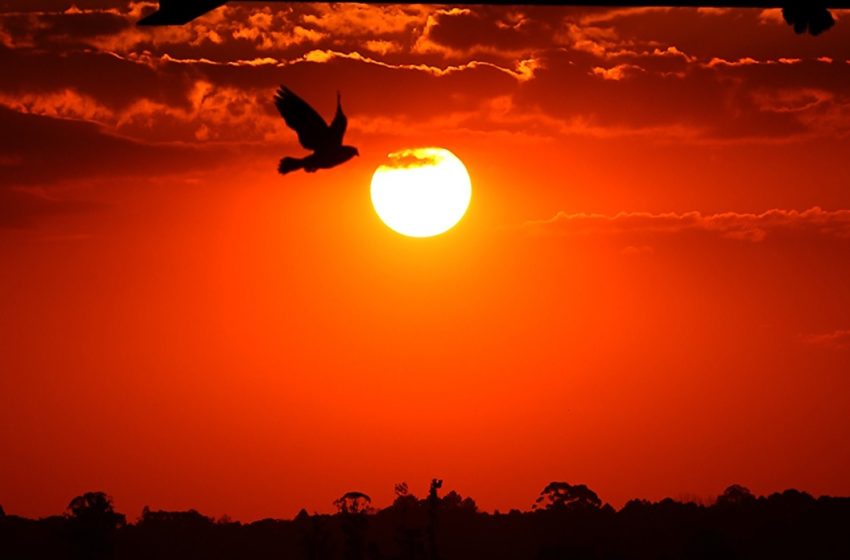 Primavera tem 41,1°C e mais calor do que no verão