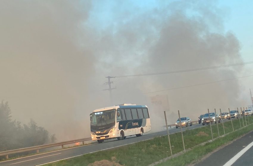  Incêndio florestal provoca lentidão na BR-277, na Grande Curitiba