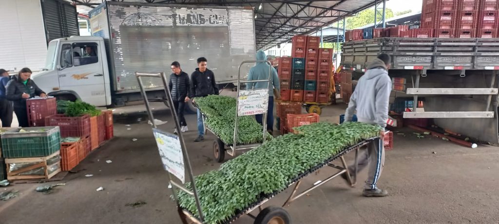 Onze alimentos estão mais baratos na Ceasa-PR