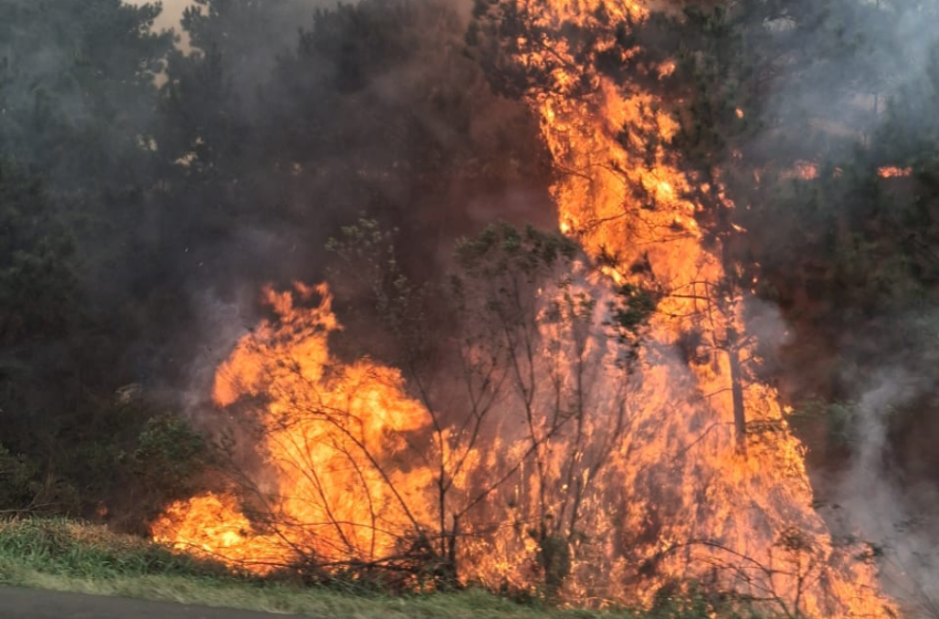 Paraná registra, pelo menos, seis focos ativos de incêndio