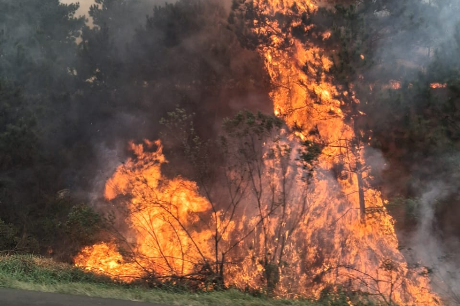 Caminhão pega fogo na BR-376 em Guaratuba
