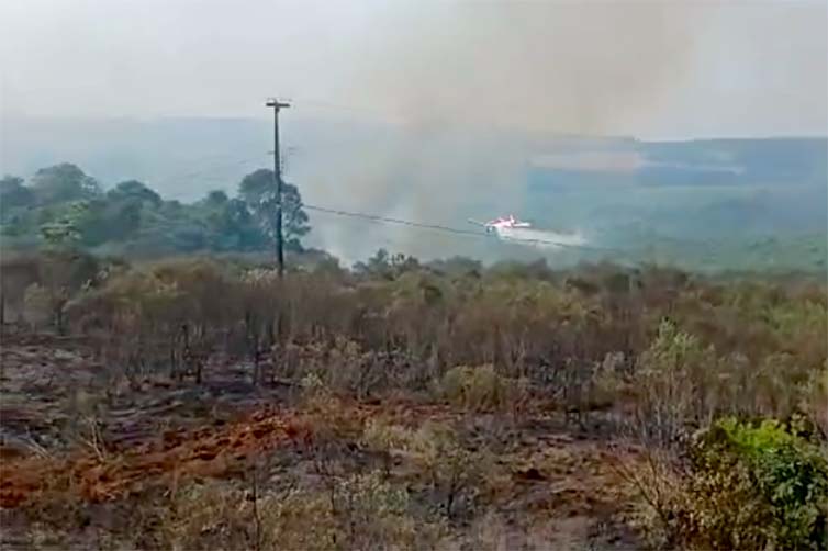  Avião contratado combate incêndio em Palmeira; veja vídeo