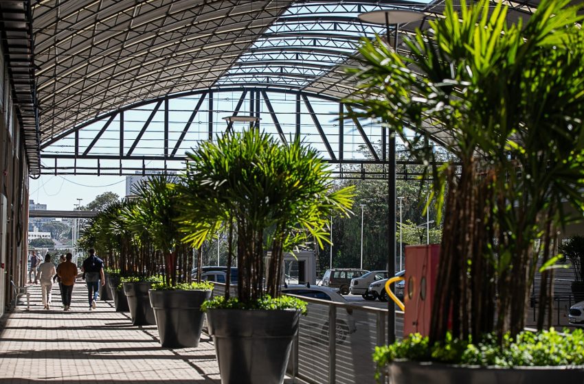  Curitiba ganha 1º Open Mall de casa e lazer