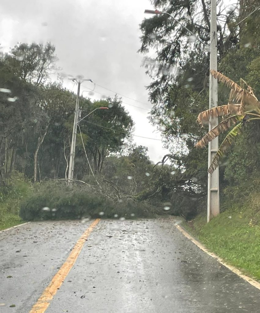 Temporal deixou estragos em vários bairros de Curitiba