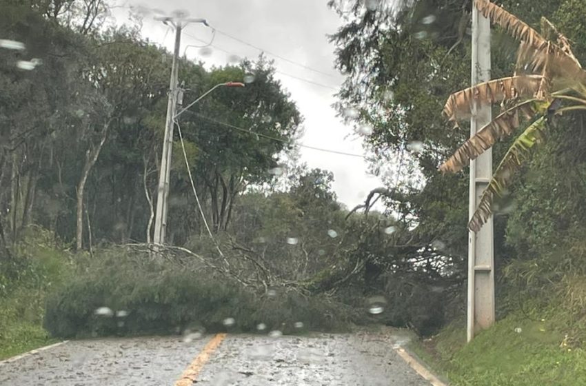  Temporal deixa estragos em vários bairros de Curitiba