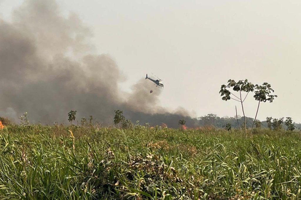 Paraná registra, pelo menos, seis focos ativos de incêndio