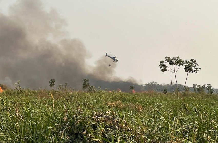  Paraná registrou mais de dois mil incêndios florestais em setembro