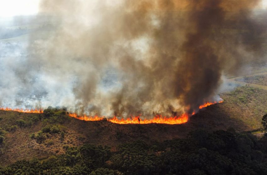  Paraná tem 5 incêndios ambientais por hora, apontam bombeiros