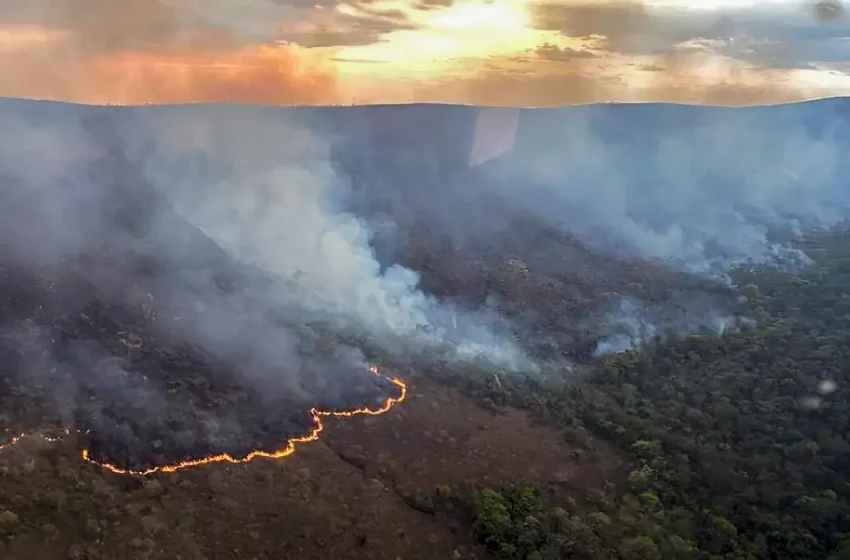 Incêndio queima 10 mil hectares da Chapada dos Veadeiros