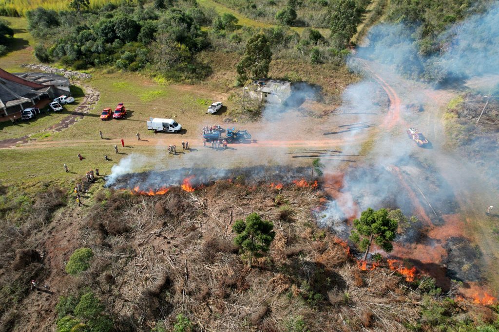 Paraná suspende queimadas no campo por 90 dias