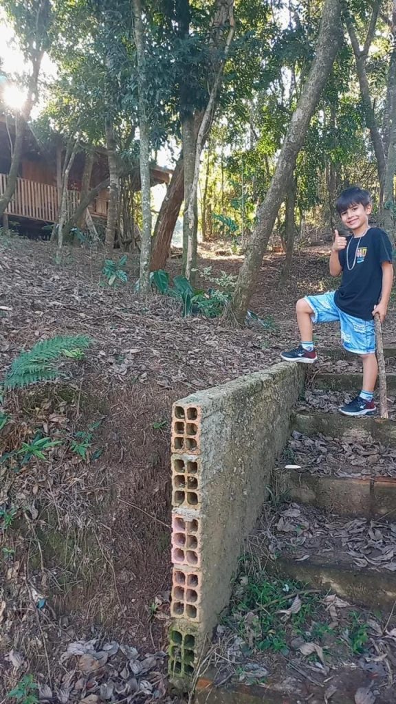 Morte de criança alerta para cuidados com abelhas