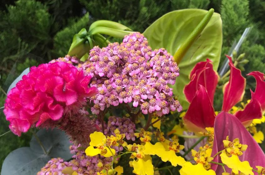 Saiba como manter flores frescas por mais tempo