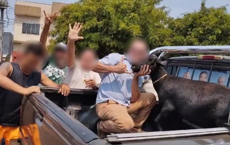 Homens matam animal como provocação a adversário político