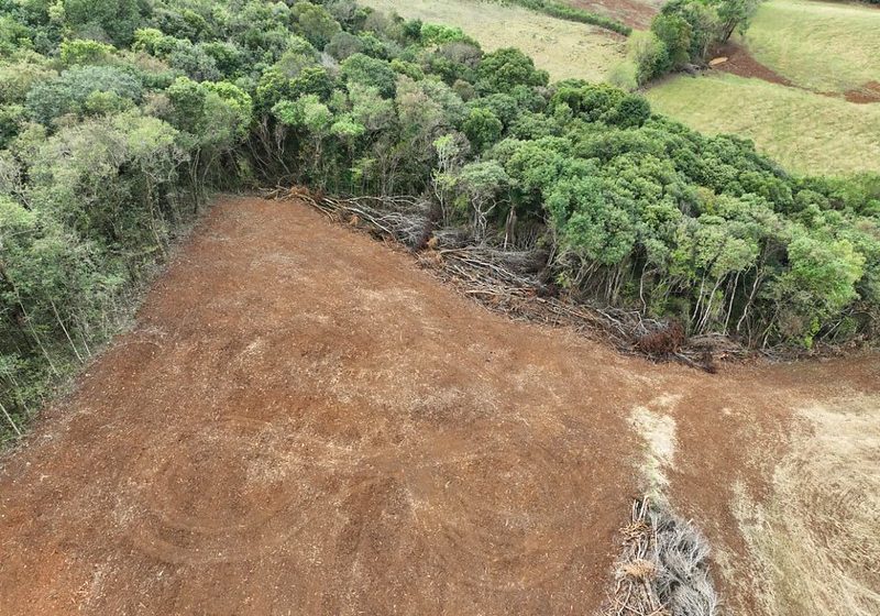  Paraná aplica mais de R$ 13 milhões em multas ambientais