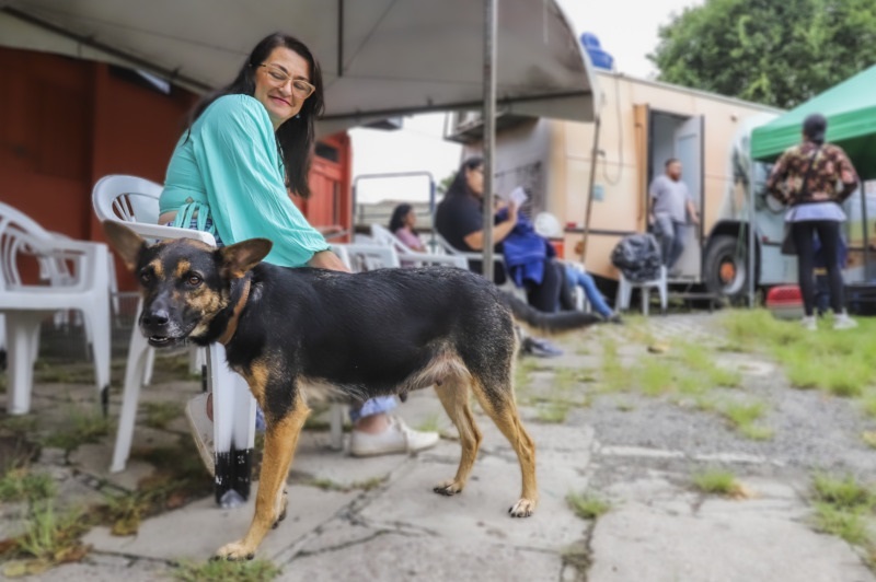 Mutirão de castração tem 4,2 mil vagas para cães e gatos