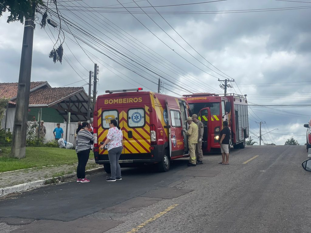 Mulheres são atacadas por enxame de abelhas em Curitiba