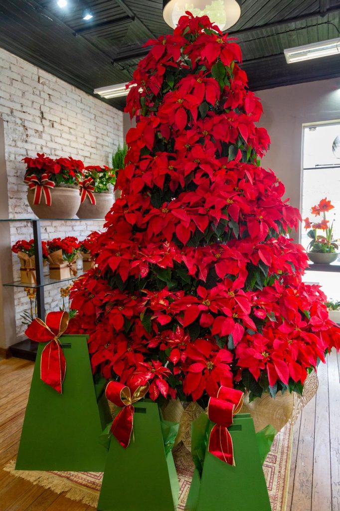 Mercado das flores e plantas se aquece no Natal