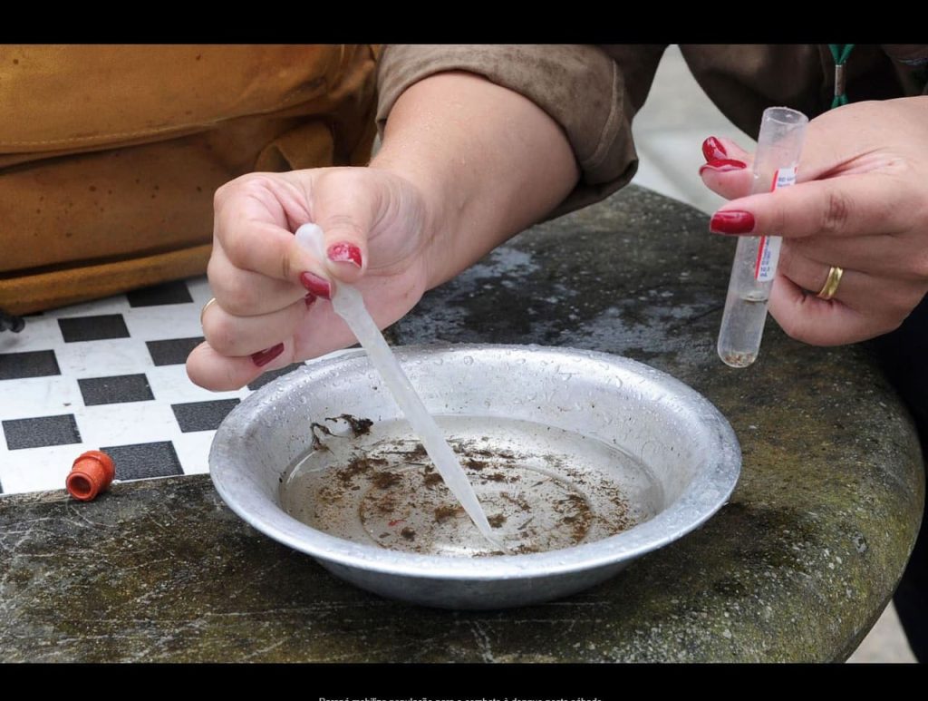 Paraná lança campanha de combate contra dengue neste sábado (14)