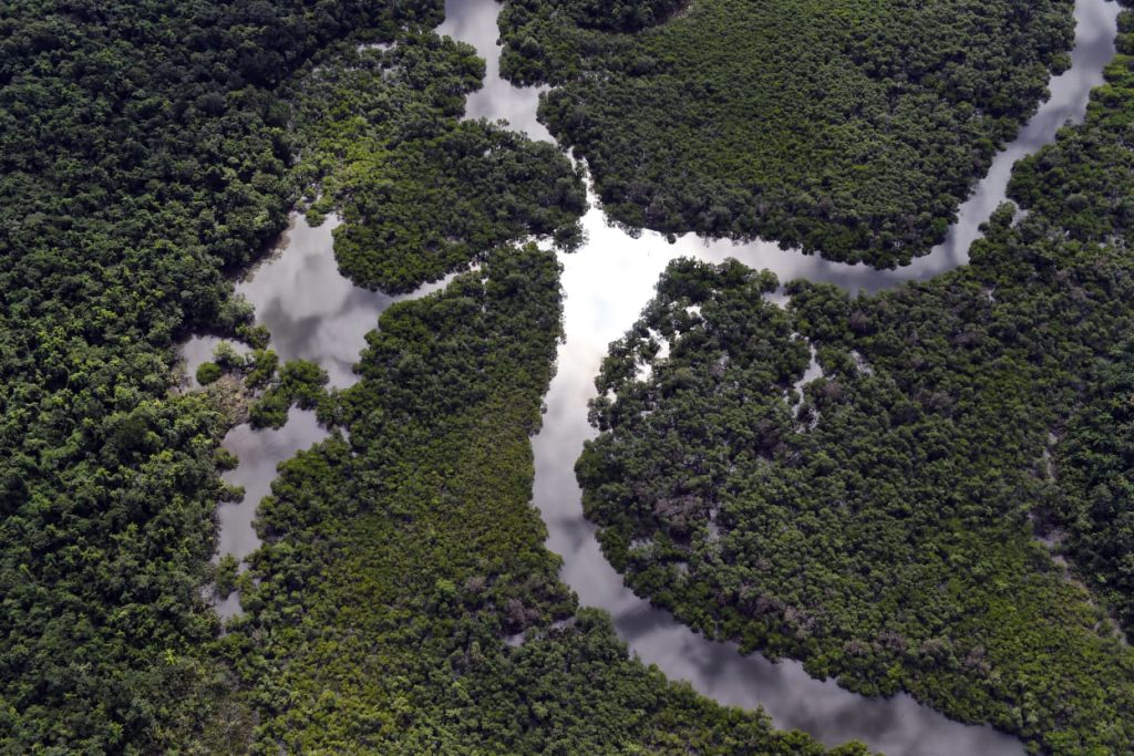 Paraná sanciona lei que moderniza licenciamentos ambientais