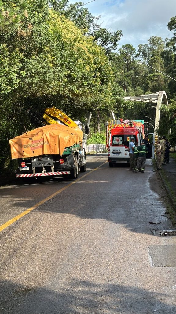 Motociclista fica ferido após árvore cair no bairro Taboão