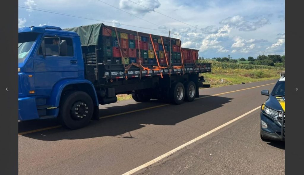 Motorista abandona caminhão em movimento e maconha é apreendida