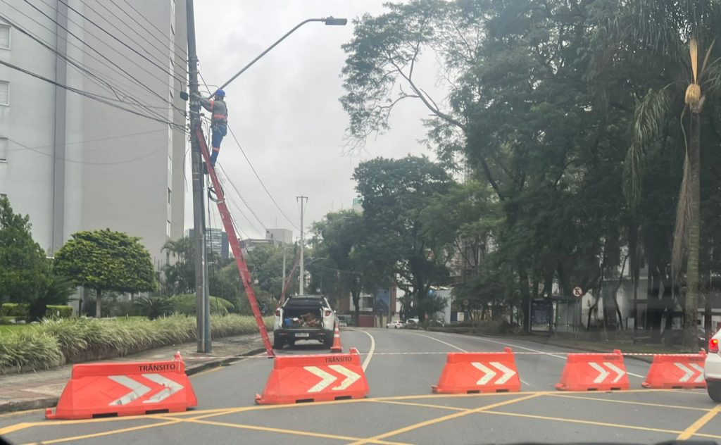 Corte de árvores interdita rua do Água Verde