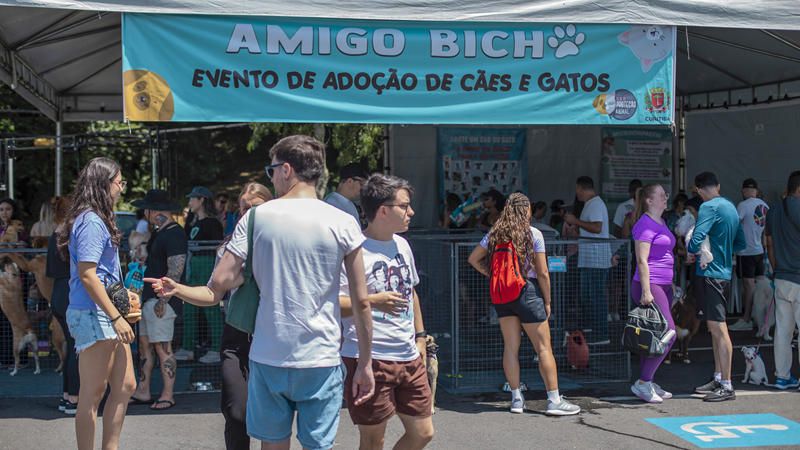 Curitiba tem dois eventos de adoção gratuita de cães