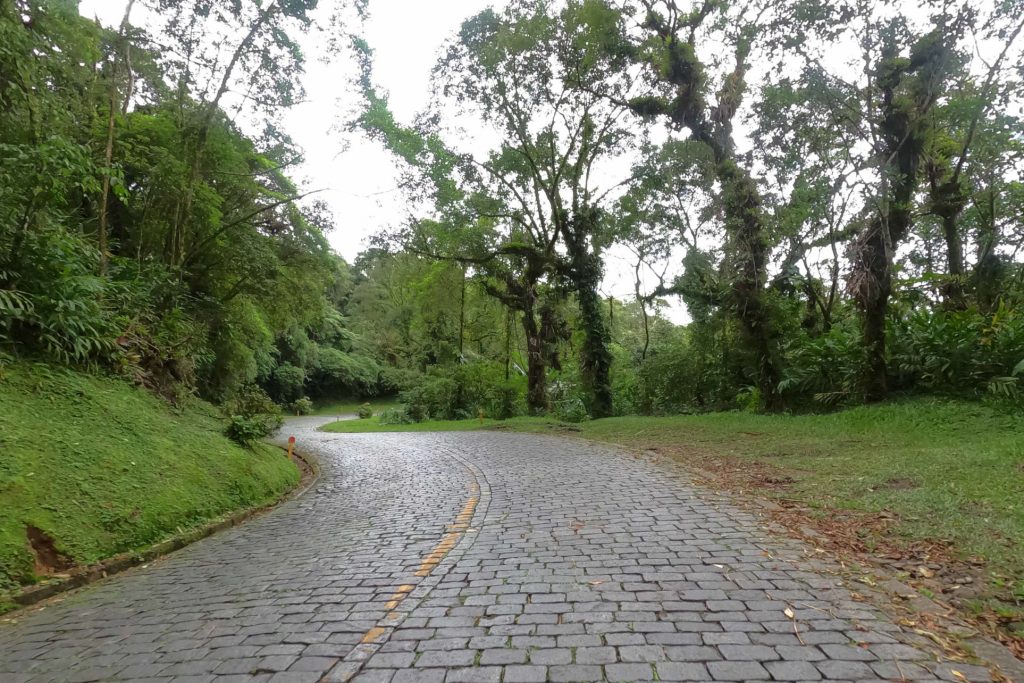 Chuvas adiam obras na Estrada da Graciosa