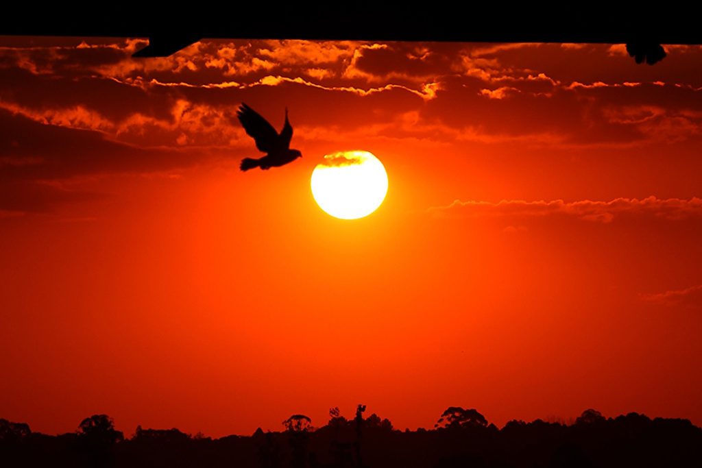 Domingo de Carnaval de Sol e muito calor no Paraná