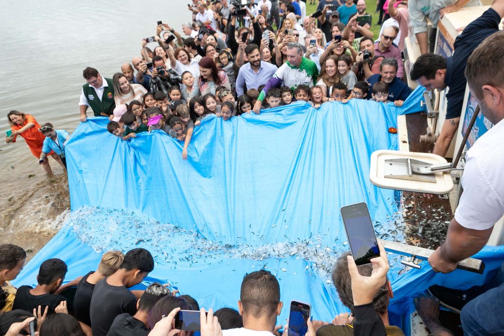 500 mil novos peixes são soltos no Parque Passaúna