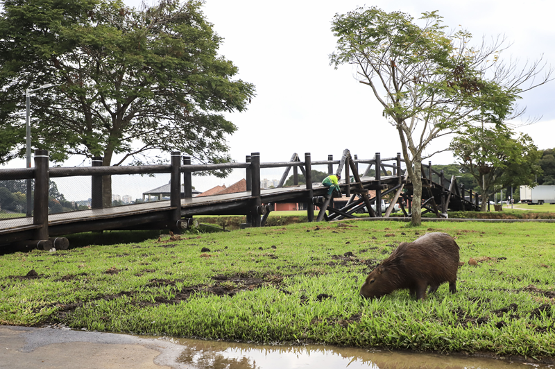 Parque Barigui recebe obras de melhorias