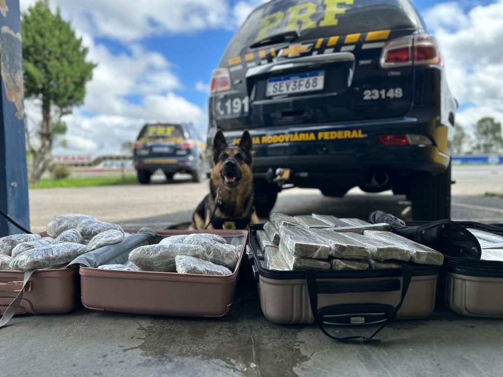 120 quilos de drogas são apreendidos em táxi na BR-277