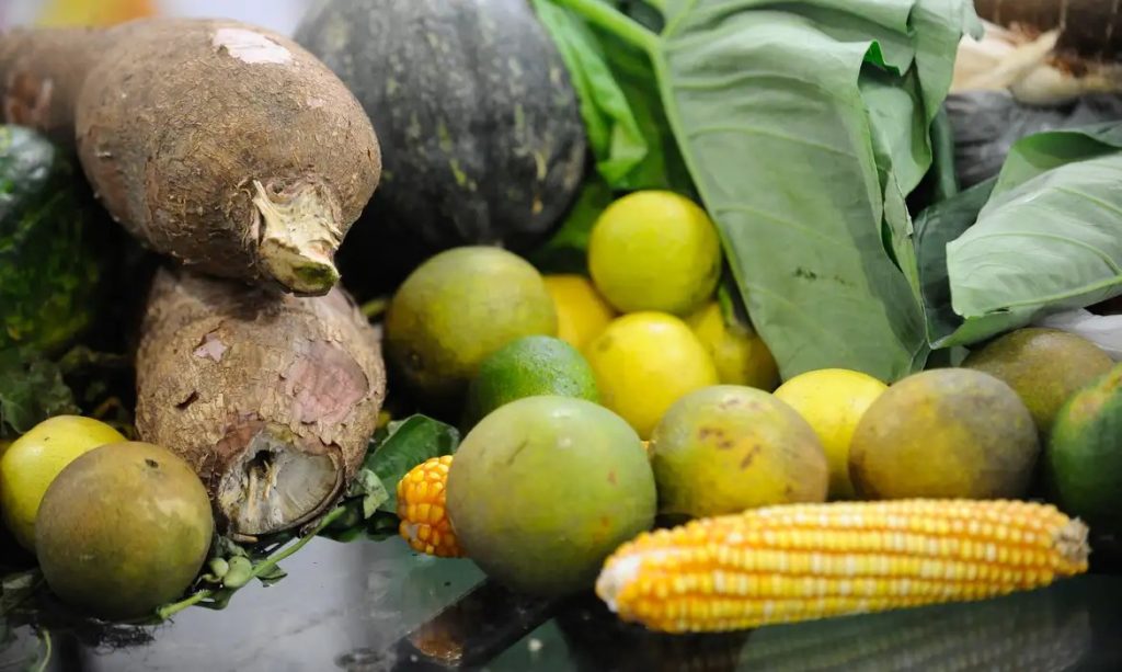 Custo da cesta básica cai em Curitiba, em maio