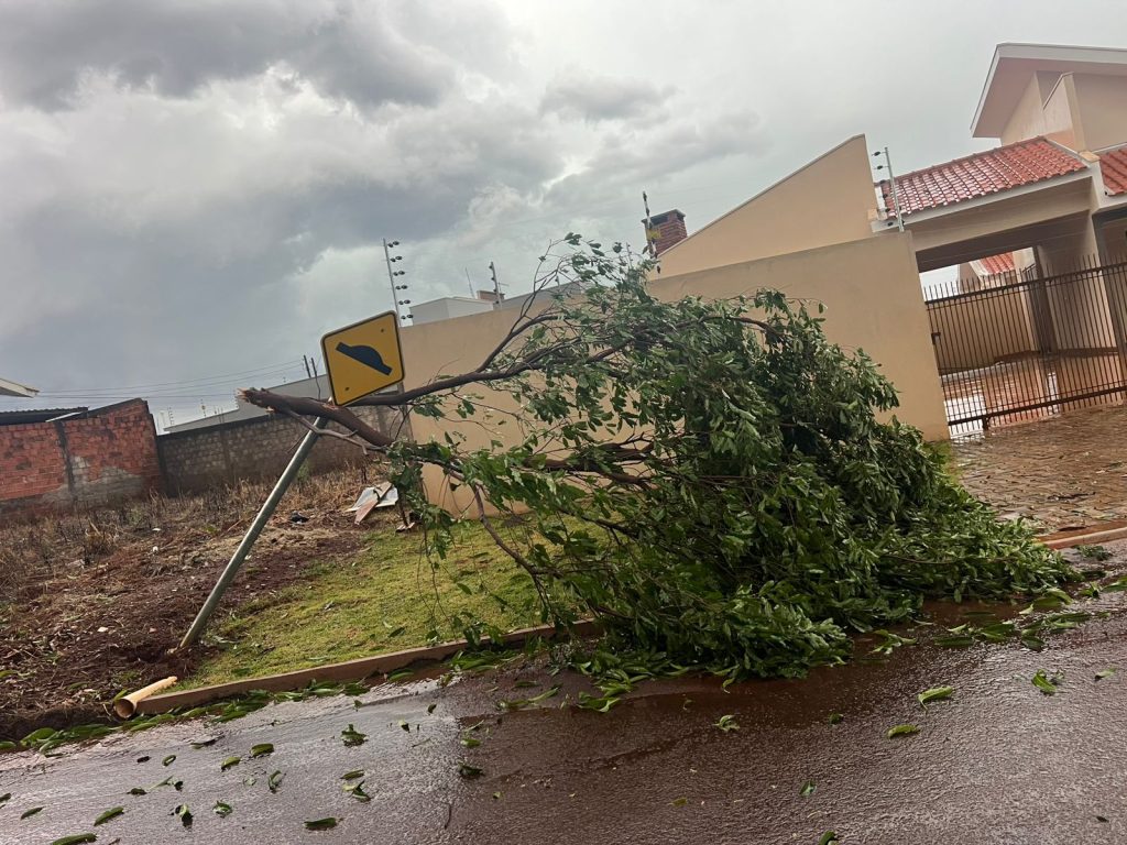 Mais de 10 municípios paranaenses registram estragos causados pela chuva