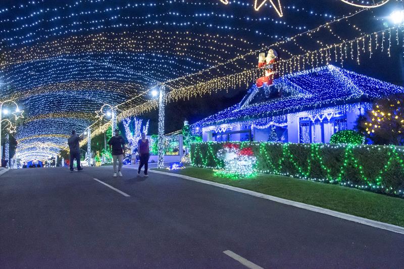 Espetáculo Catedral de Luz terá agendamento no Natal de Curitiba