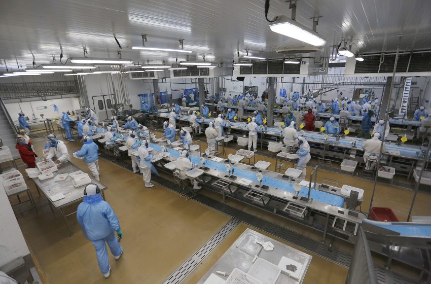 Mutirão de Empregos da Consciência Negra reúne empresas em Curitiba