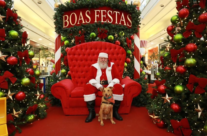 Natal Pet estreia em shopping de Curitiba